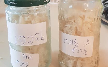 הכוח שלנו טמון במילים שלנו